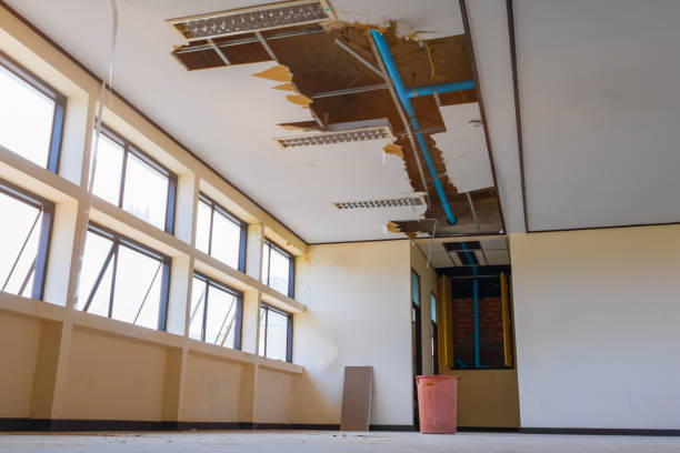 Best Residential water damage restoration  in Kearny, AZ