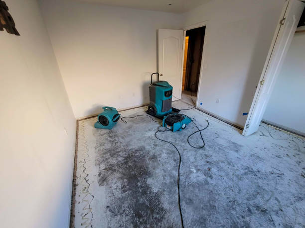 Best Water damage contractors near me  in Kearny, AZ