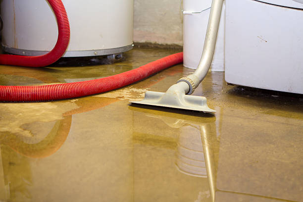 Best Flood restoration services  in Kearny, AZ