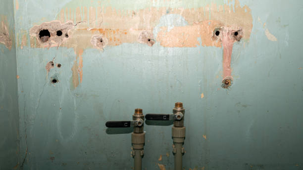 Best Carpet water damage restoration  in Kearny, AZ