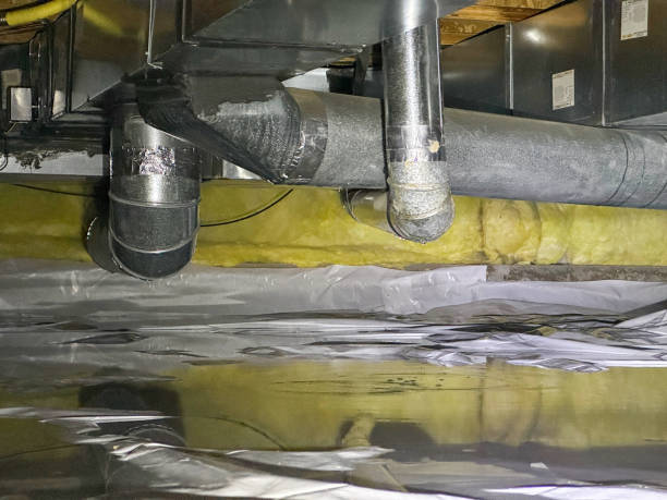Best Water damage cleanup near me  in Kearny, AZ