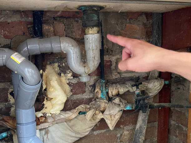 Best Water damage restoration near me  in Kearny, AZ