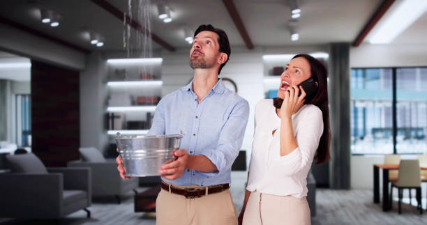Best 24-hour water damage restoration  in Kearny, AZ