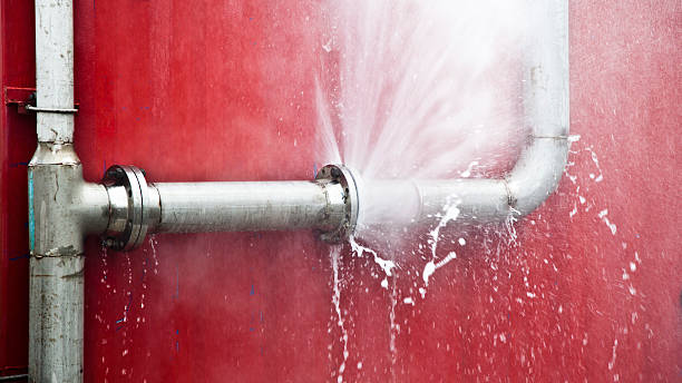 Best Water damage restoration cost  in Kearny, AZ